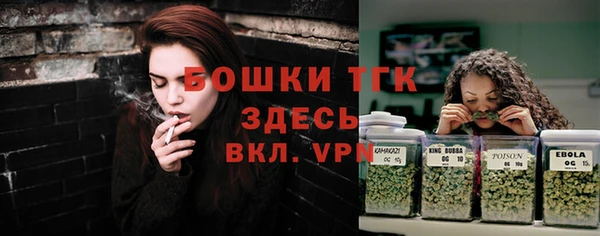 mdpv Гусев