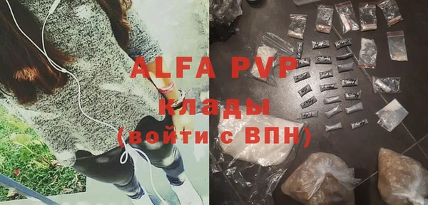 ПСИЛОЦИБИНОВЫЕ ГРИБЫ Гусиноозёрск