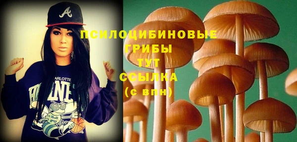ПСИЛОЦИБИНОВЫЕ ГРИБЫ Гусиноозёрск