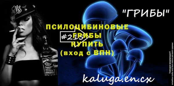 mdpv Гусев